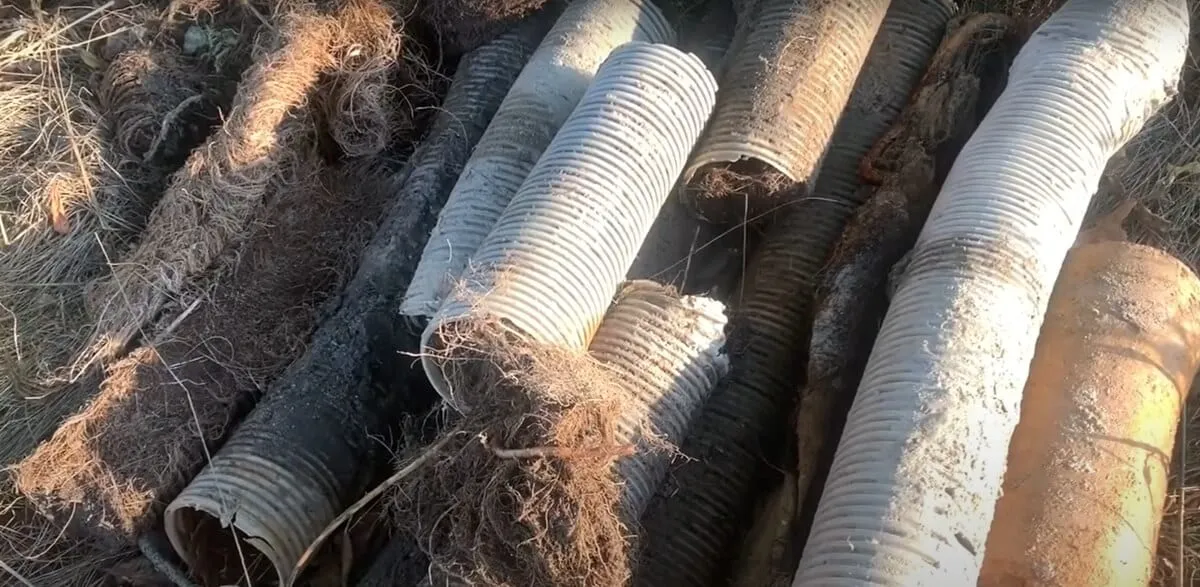Zarośnięty korzeniami system drenażu melioracyjnego ujawniony podczas inwentaryzacji