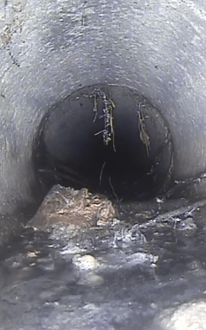 Rys.4 Nagranie z kamery CCTV – korzenie drzew wrastające do starego rurociągu kanalizacyjnego.